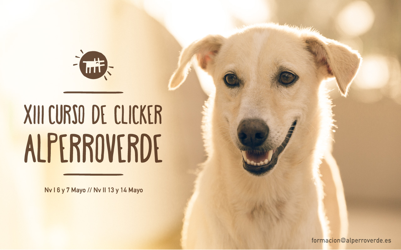 CartelXIII-curso-clicker